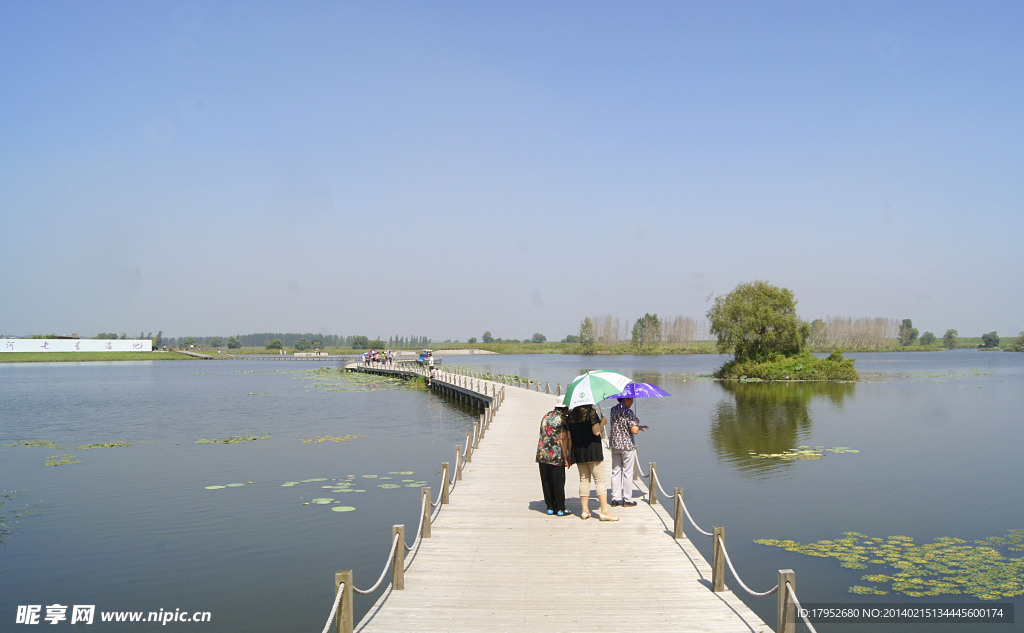 辽河湿地