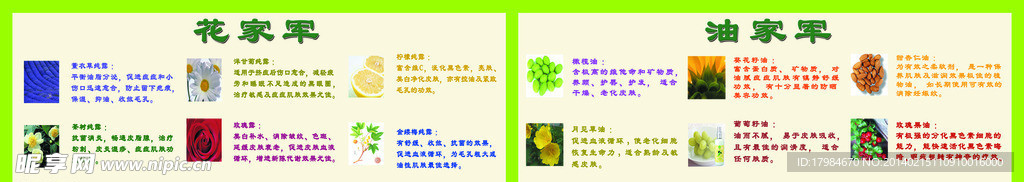 花将军