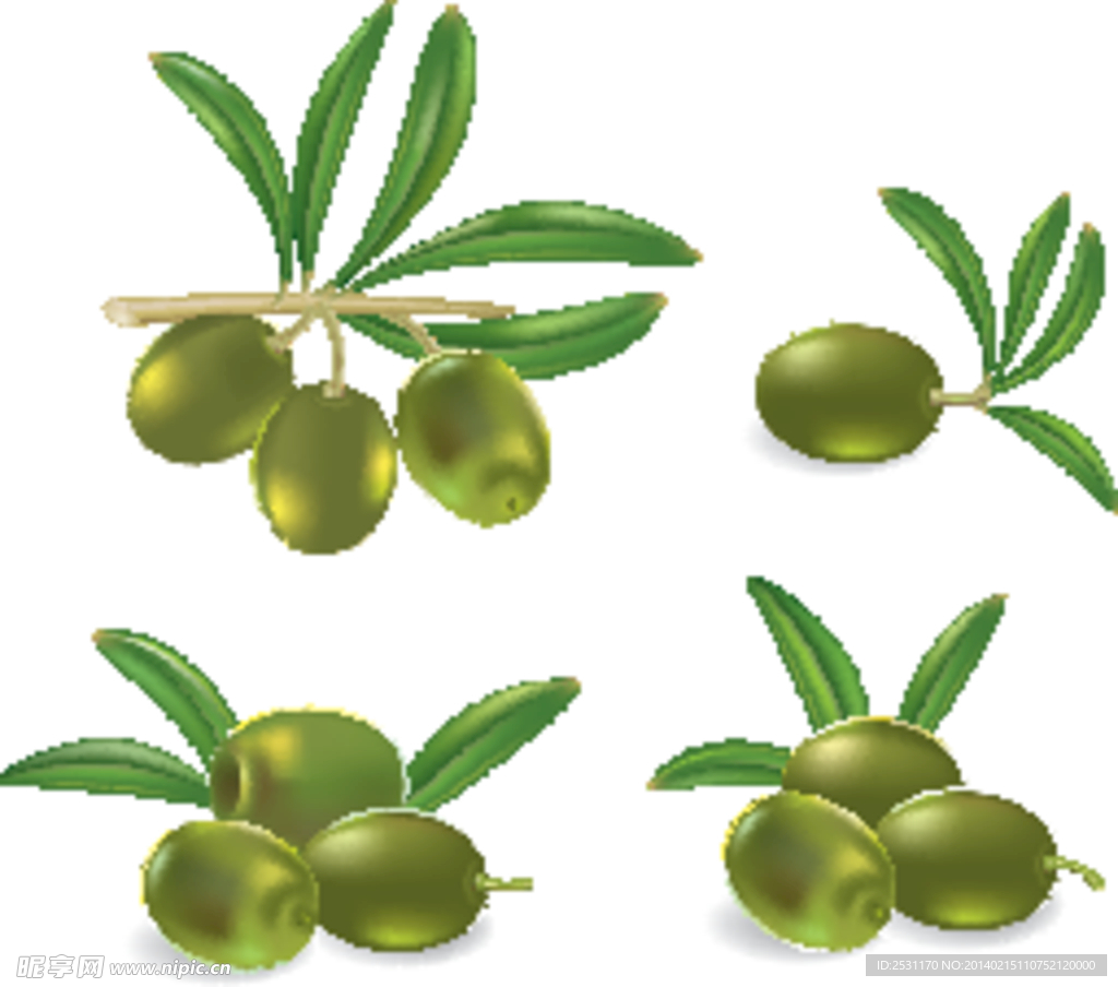 橄榄油