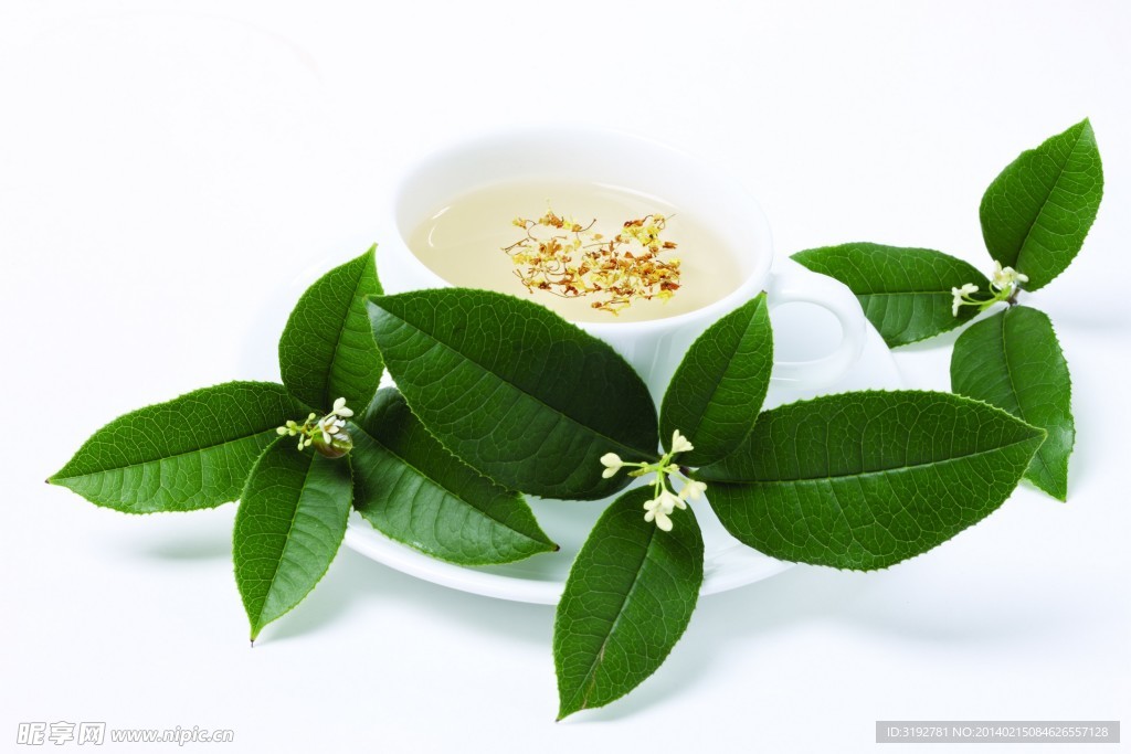 静物 茶叶 绿叶