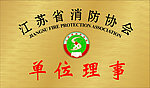 江苏省消防协会铜牌