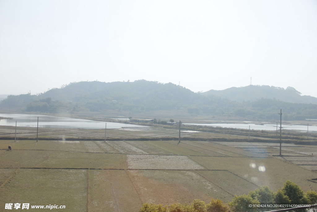 田野