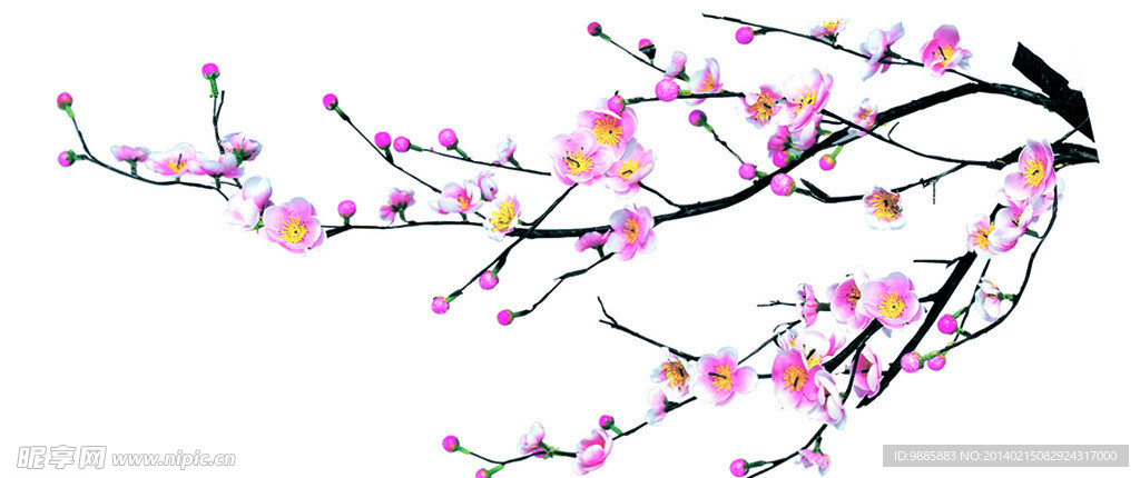 梅花