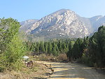太室山 万岁峰
