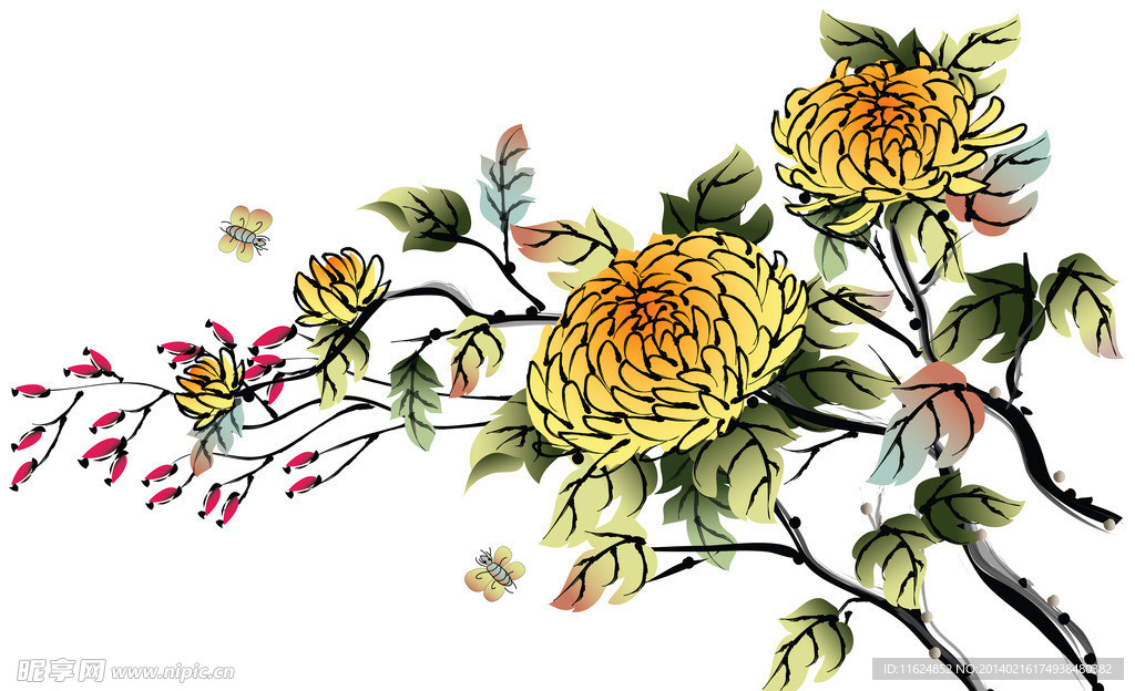 菊花