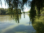 沈阳北陵