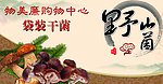 野生菌海报