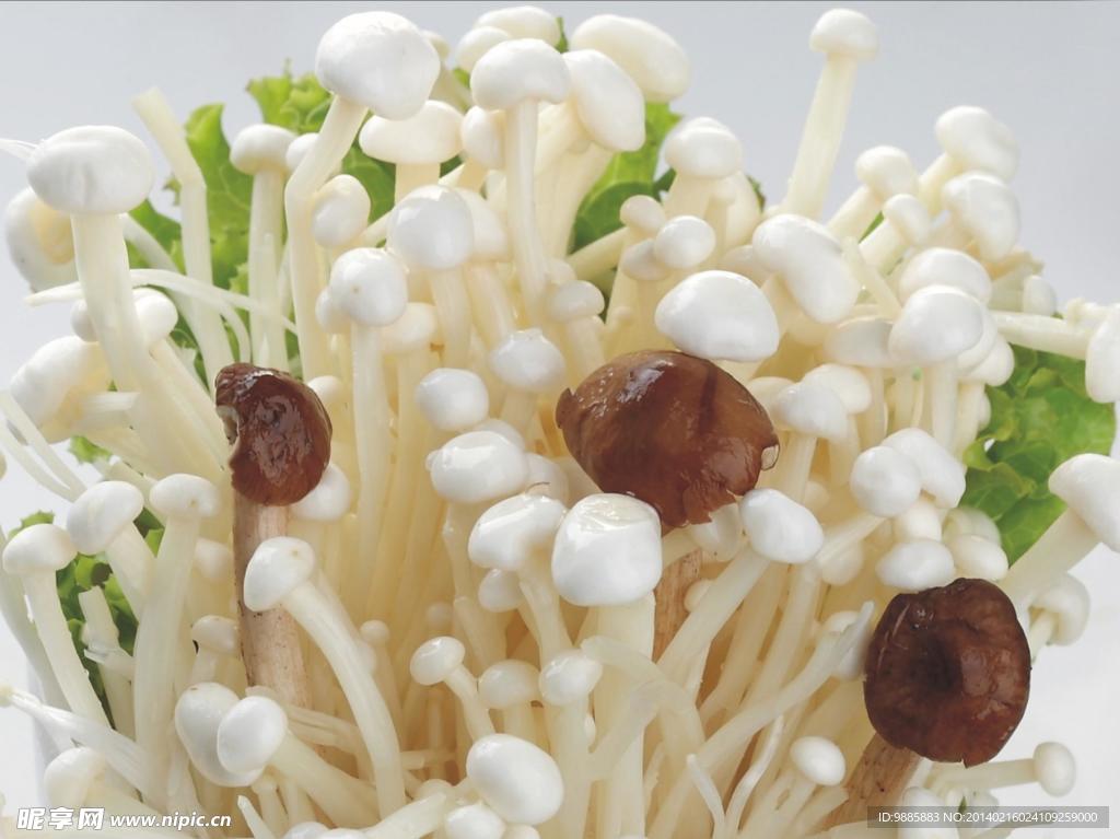 金针菇