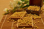 黄豆