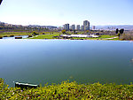 城市风光
