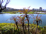 城市风光