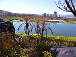 城市风光