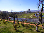 城市风光