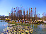 公园风景