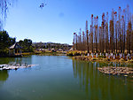公园风景