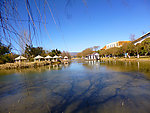 公园风景