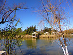 公园风景