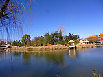 公园风景