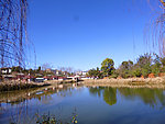 池塘