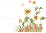 向日葵