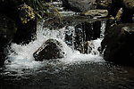 水花