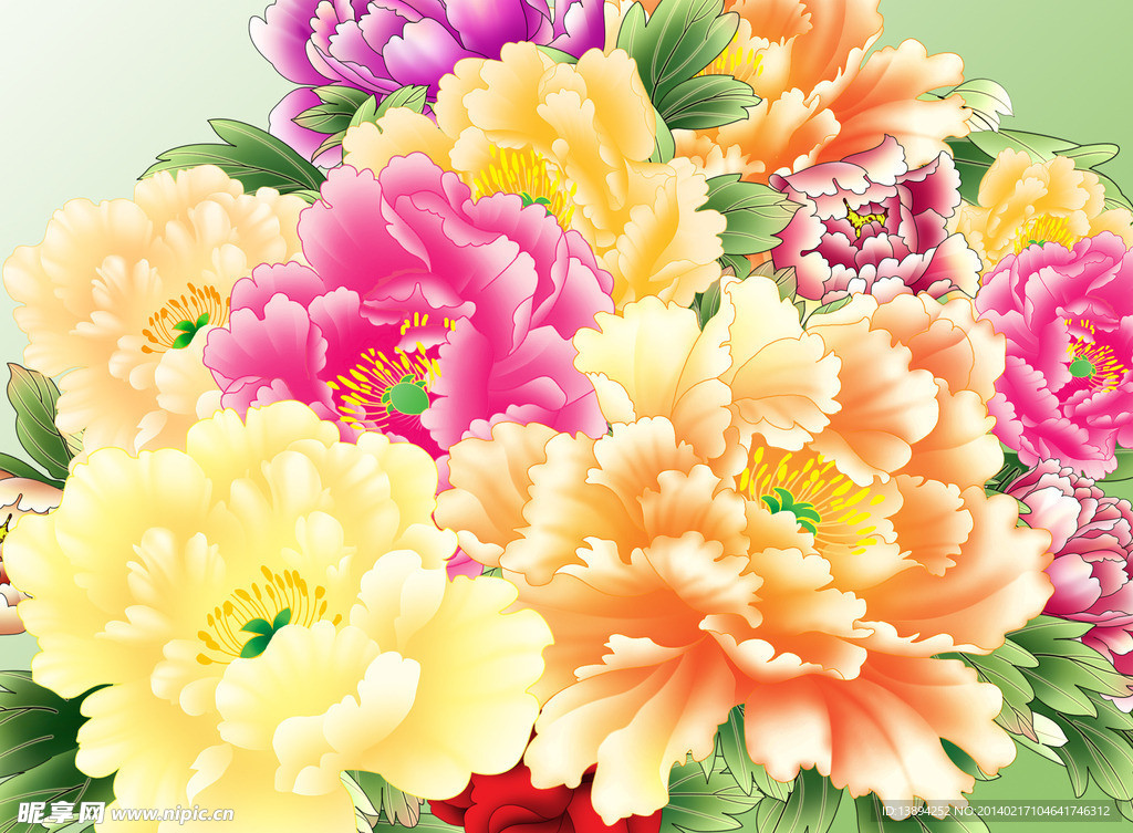 牡丹花