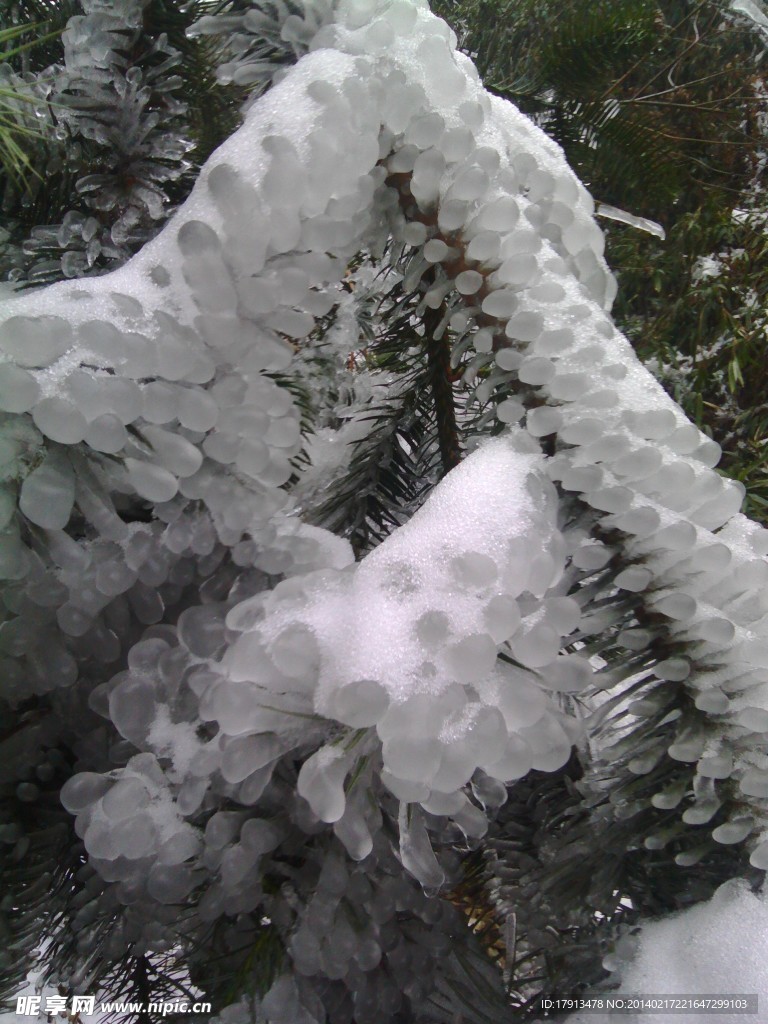 雪景