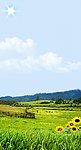 风景