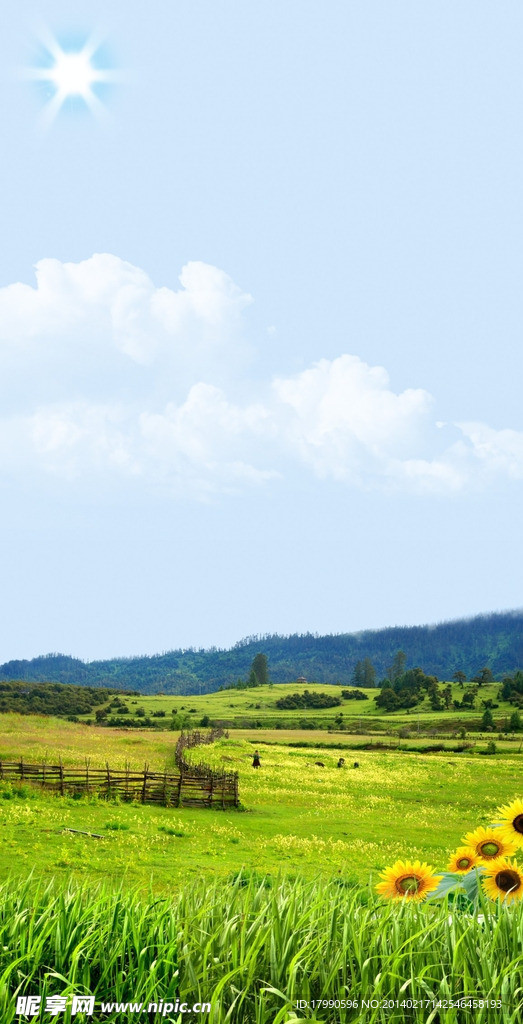 风景
