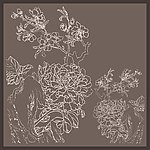 花纹