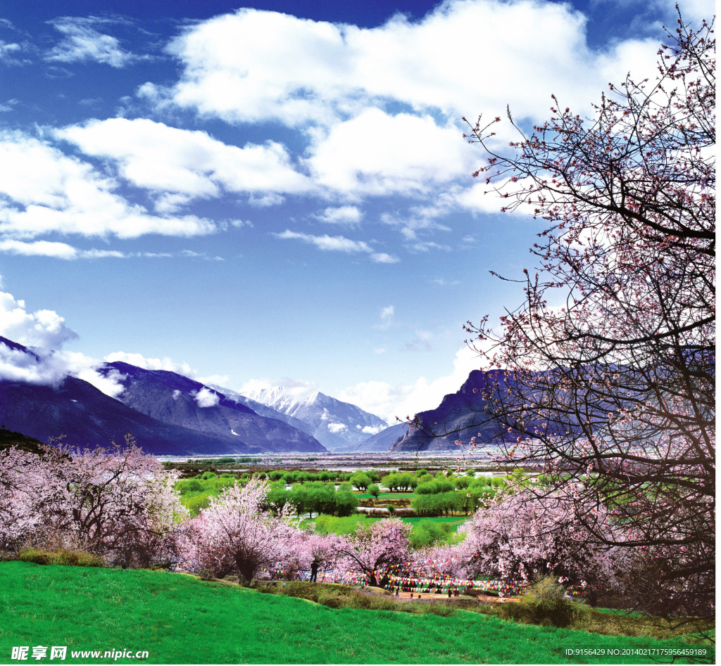 藏南林芝