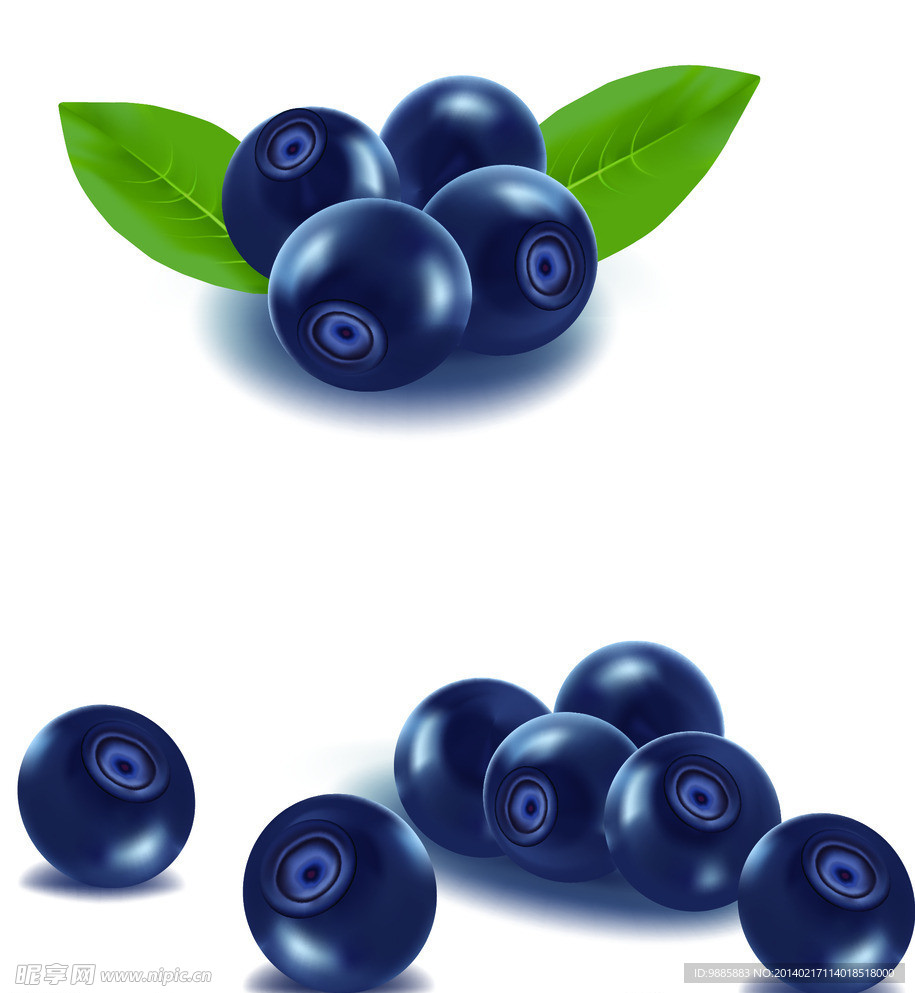 蓝莓