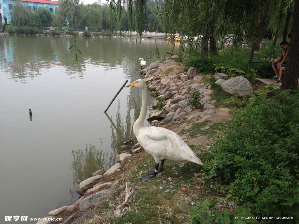 自然风景