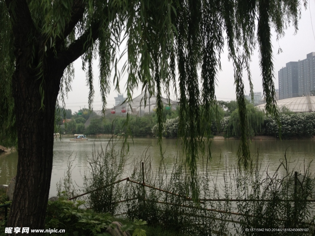 自然风景