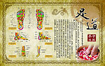 足疗养生 经络图