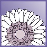 花瓣