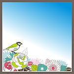 花纹