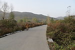 少林景区