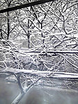 春雪风景