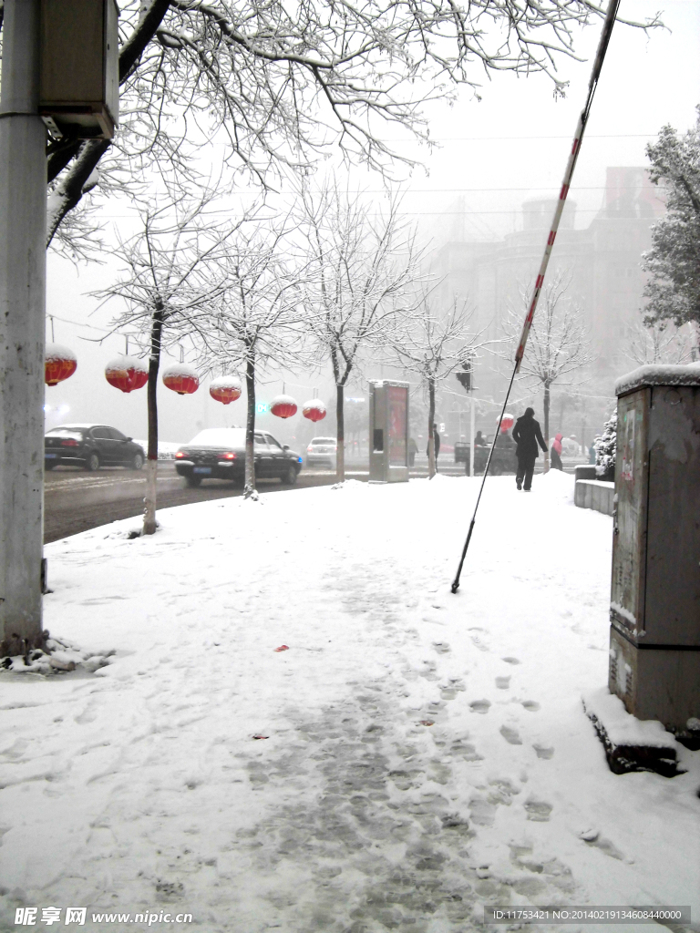 春雪风景