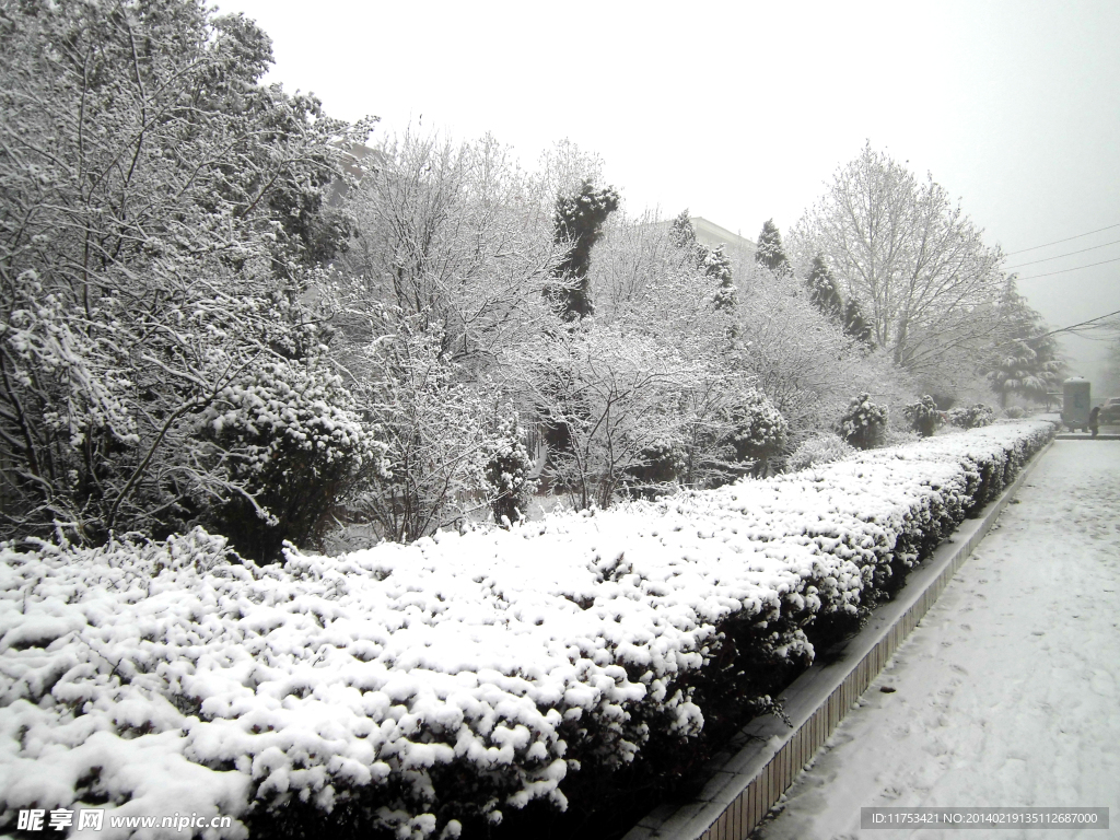 春雪风景