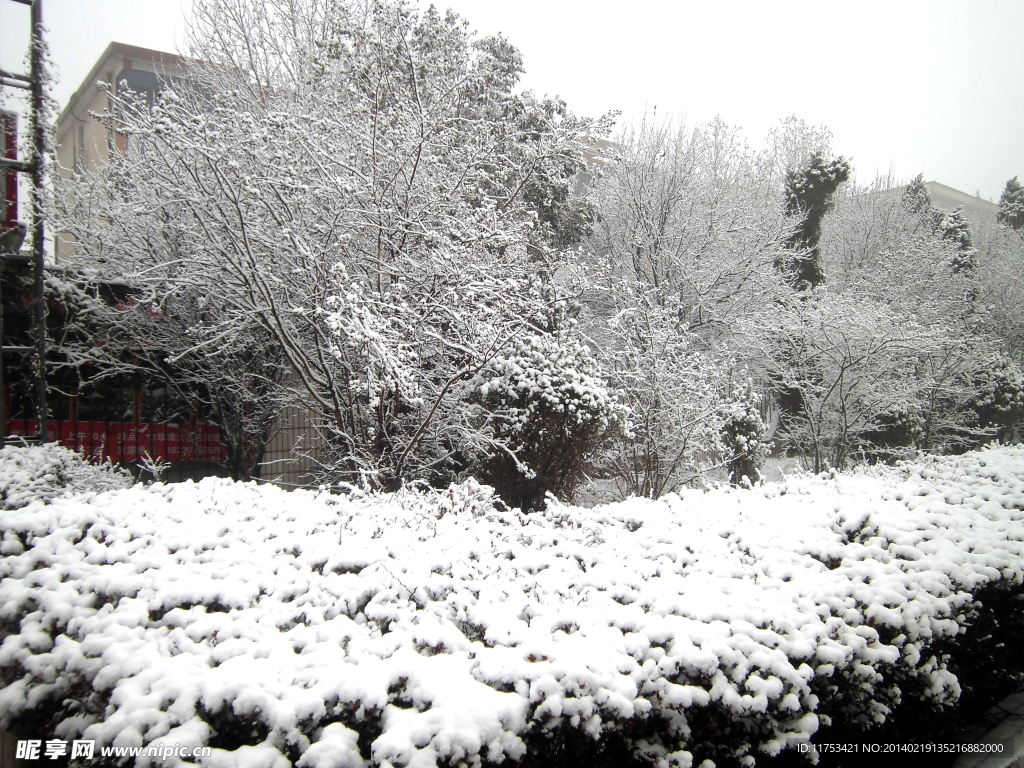 春雪风景