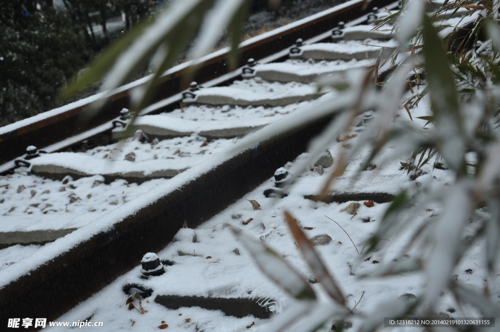 雪中火车道