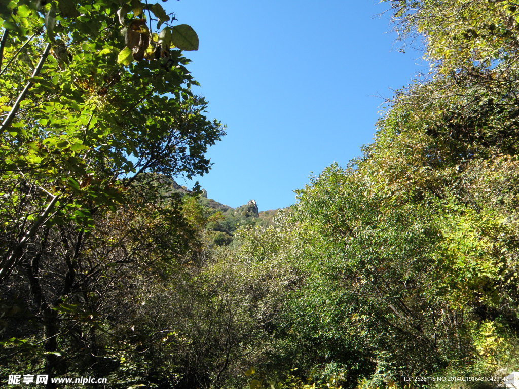 大茂山风景