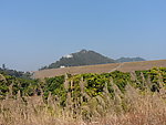 高州绿水山庄