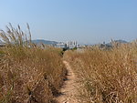 小路 小道