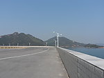 公路 马路