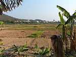 农田 风景