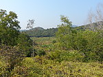 香蕉地 小山丘