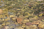 溪水